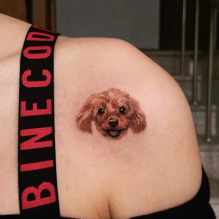 Animal