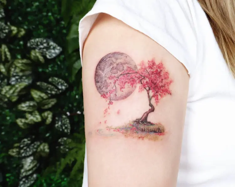 Nature