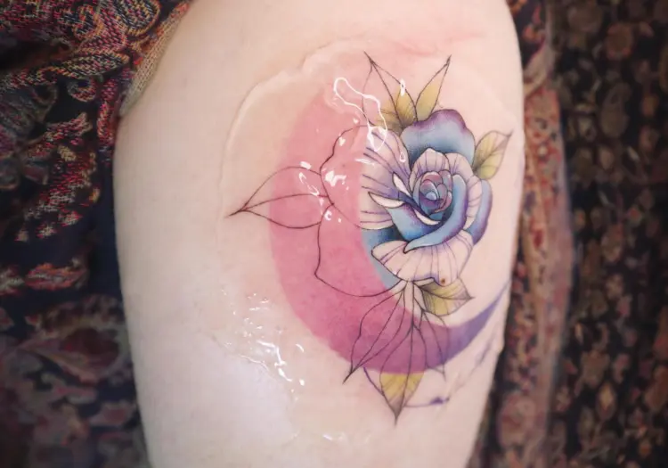 Flower, Rose