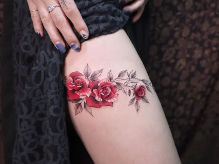 Rose, Nature, Flower