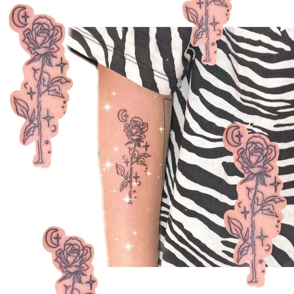 Flower, Rose