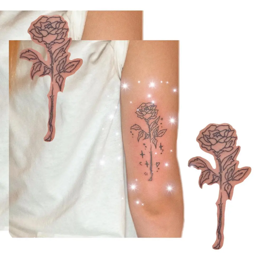 Flower, Rose