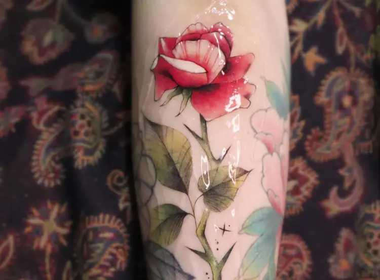 Rose, Flower