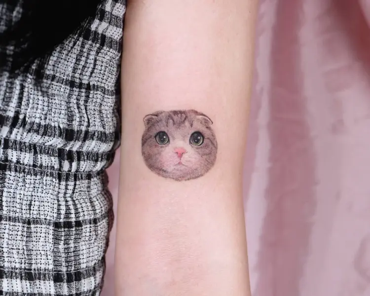 Animal