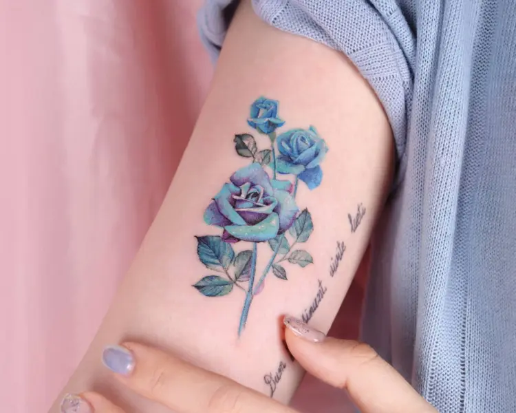 Rose, Flower, Nature
