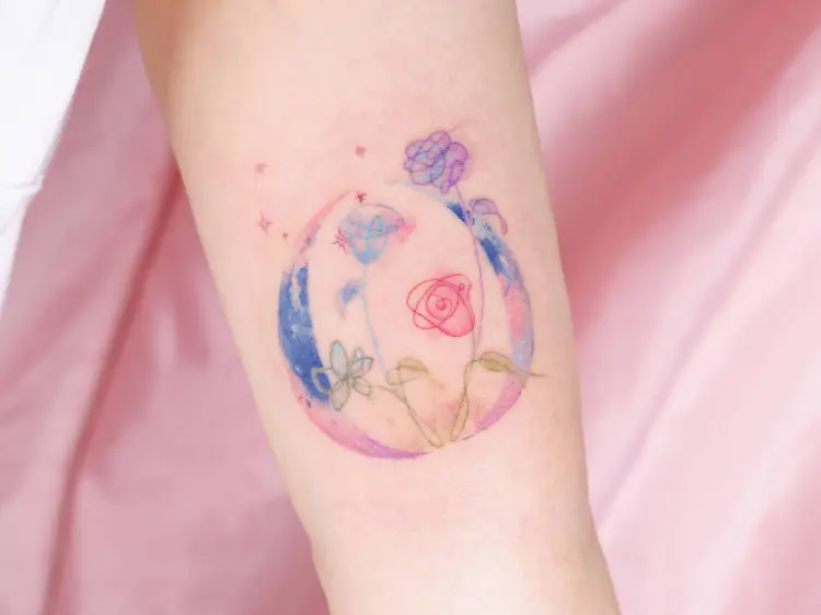 Flower, Nature, Rose
