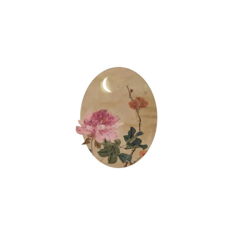 Flower, Nature, Rose