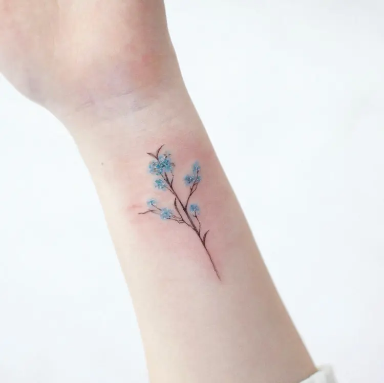 Nature, Flower