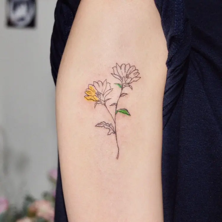 Flower, Nature