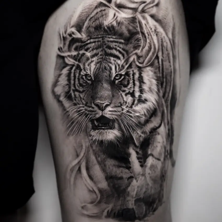 Tiger