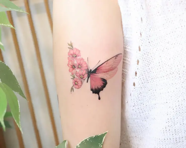 Animal, Nature