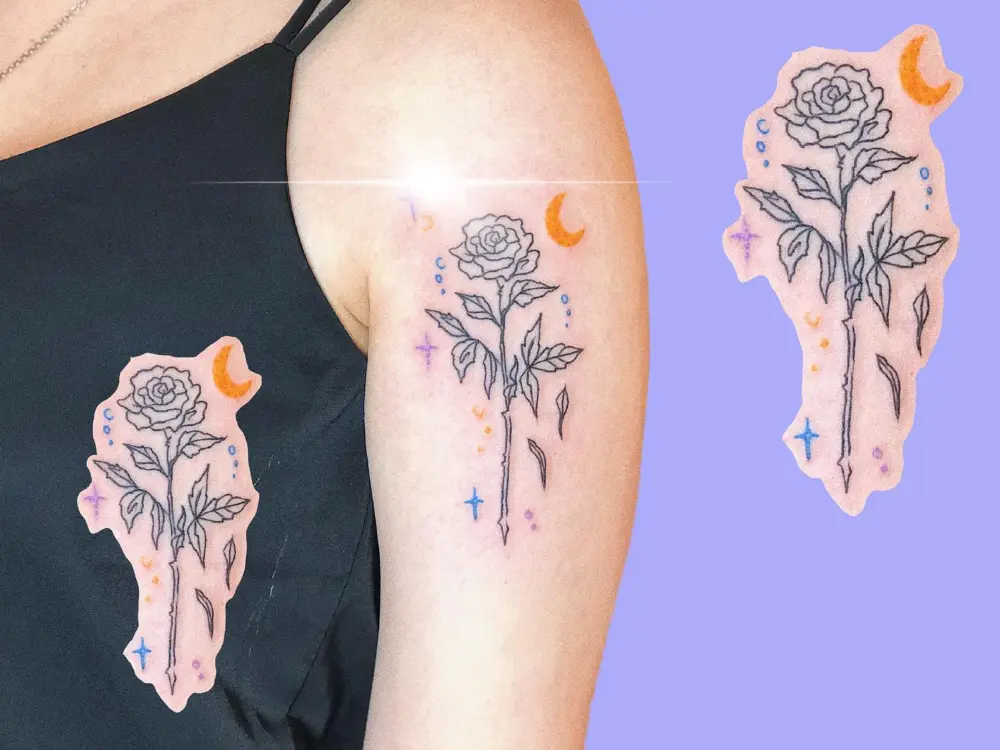 Rose, Flower, Nature