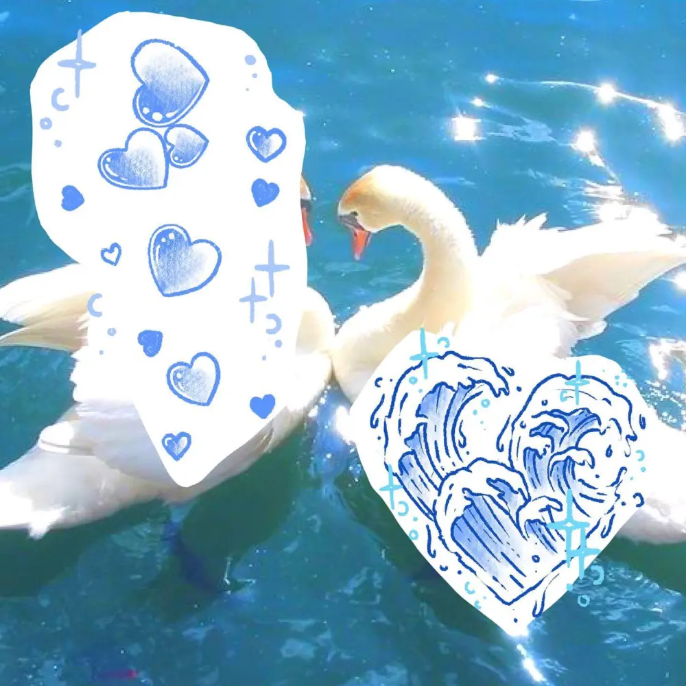 s2.love.roro.s2