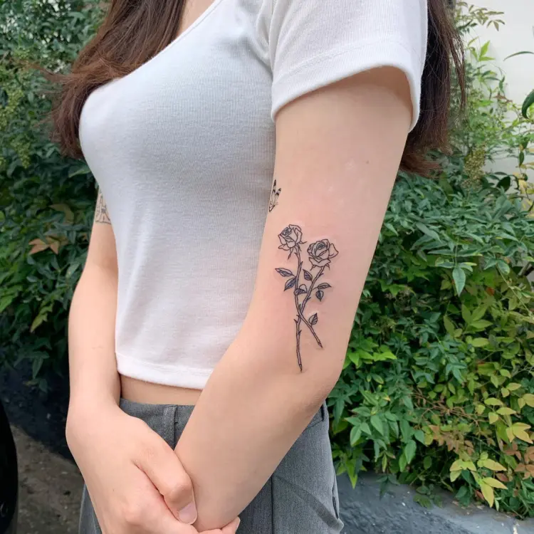 Flower, Rose