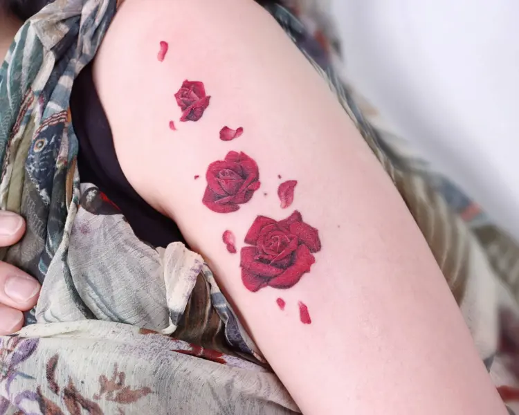 Rose, Flower