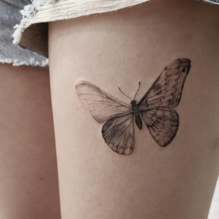 Animal, Nature