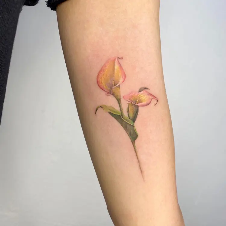 Flower, 모란, 목련, 백합, 난초, 튤립, 수선화, 아이리스, 카네이션