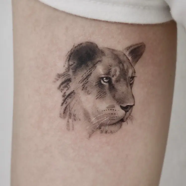 Animal