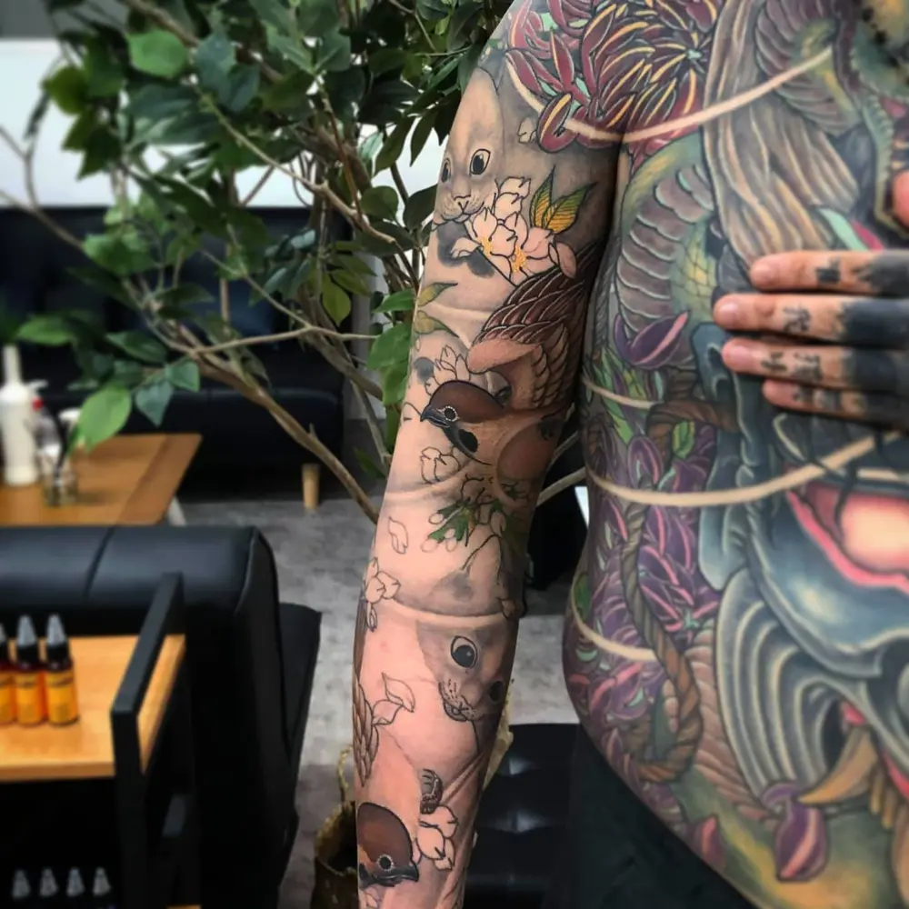 Dragon, Animal