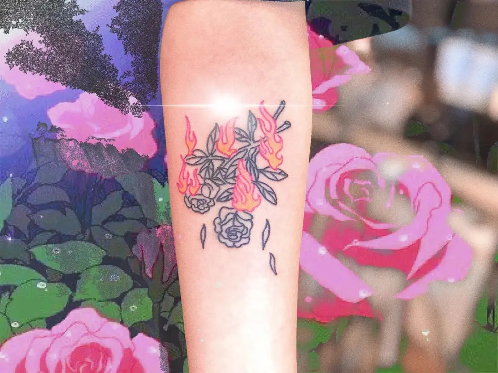 Nature, Flower, Rose