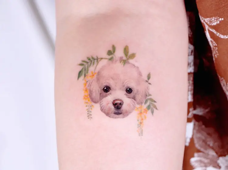 Animal, Mini