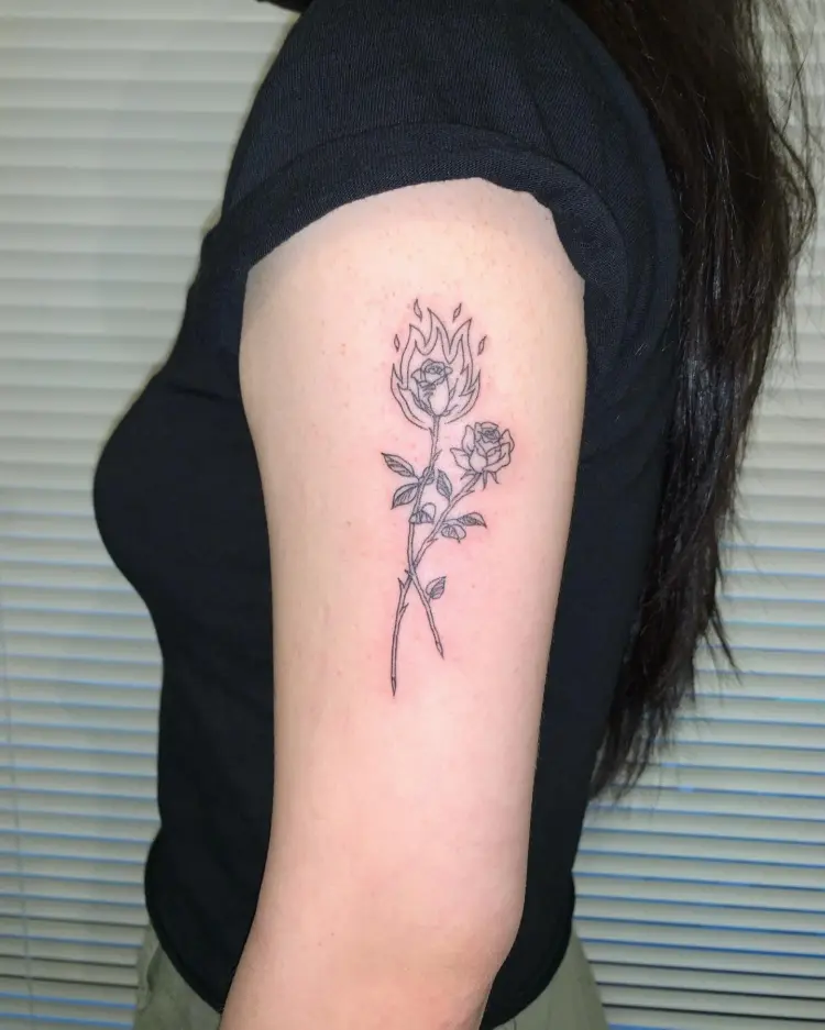 Flower, Rose