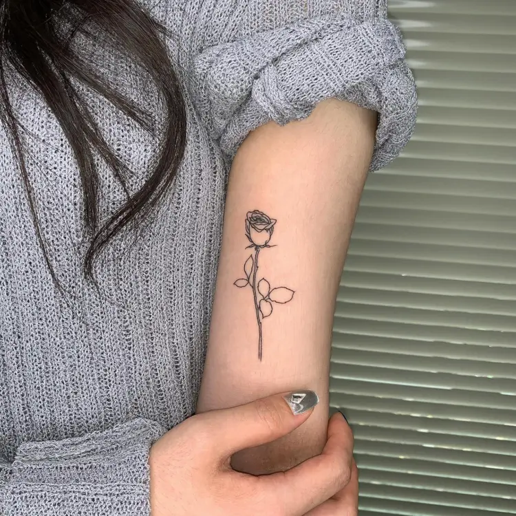 Flower, Rose