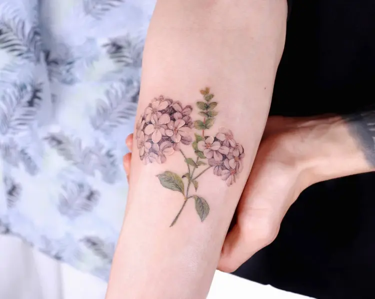 Nature, Flower