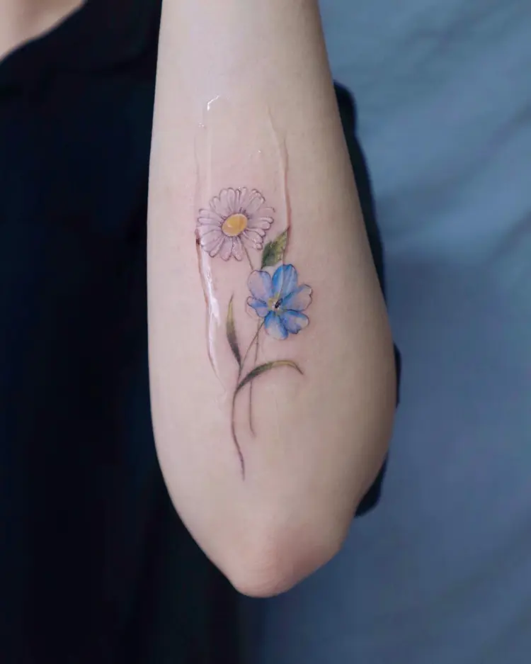 Flower, Nature