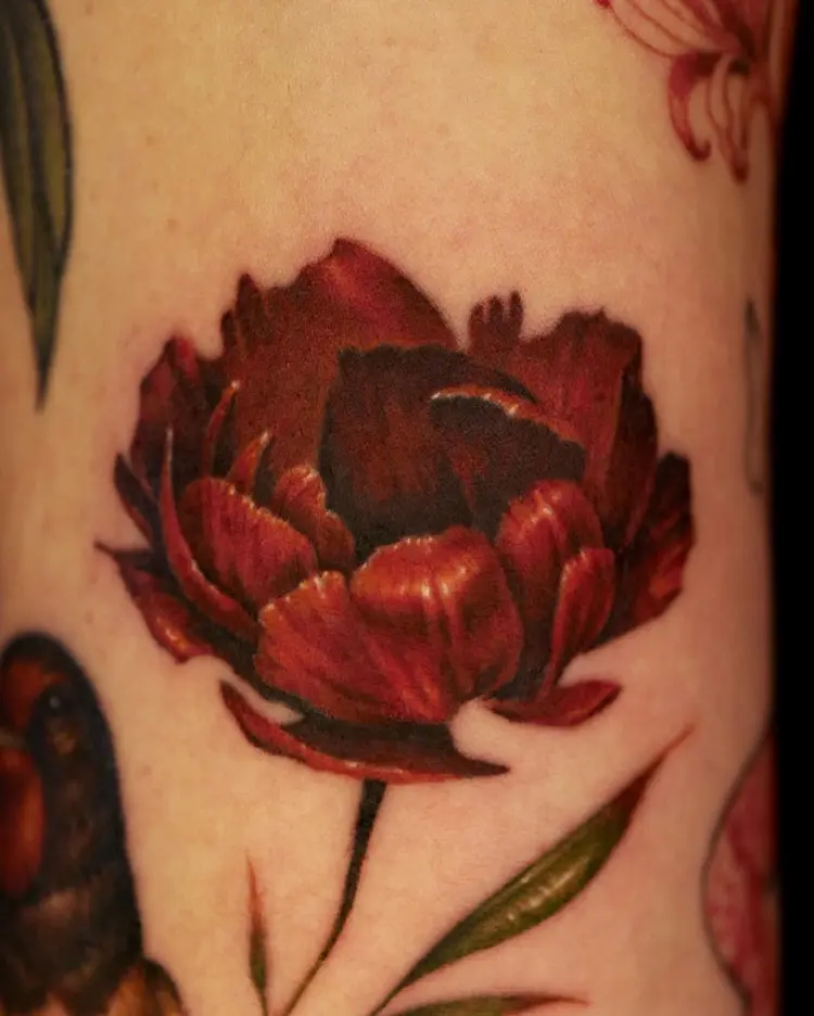 Flower, Rose