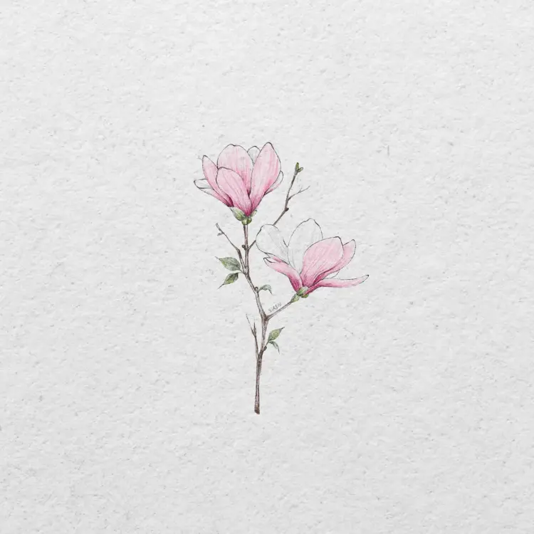 Flower, Nature