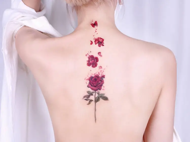 Rose, Flower, Nature