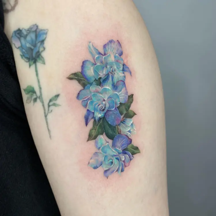 Flower, Rose