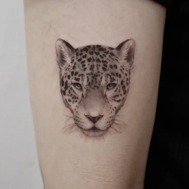 Animal