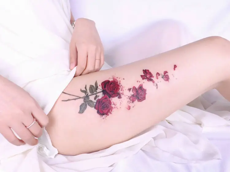 Rose, Nature, Flower