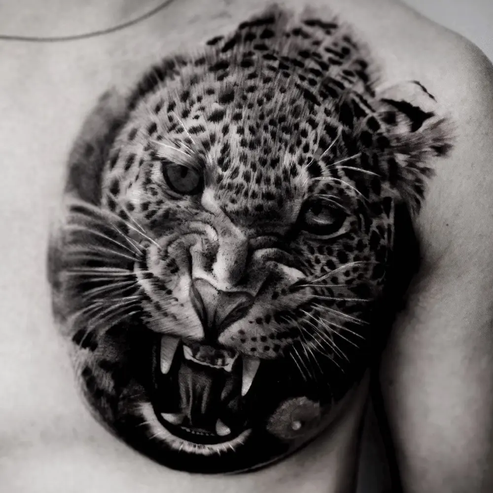 Animal