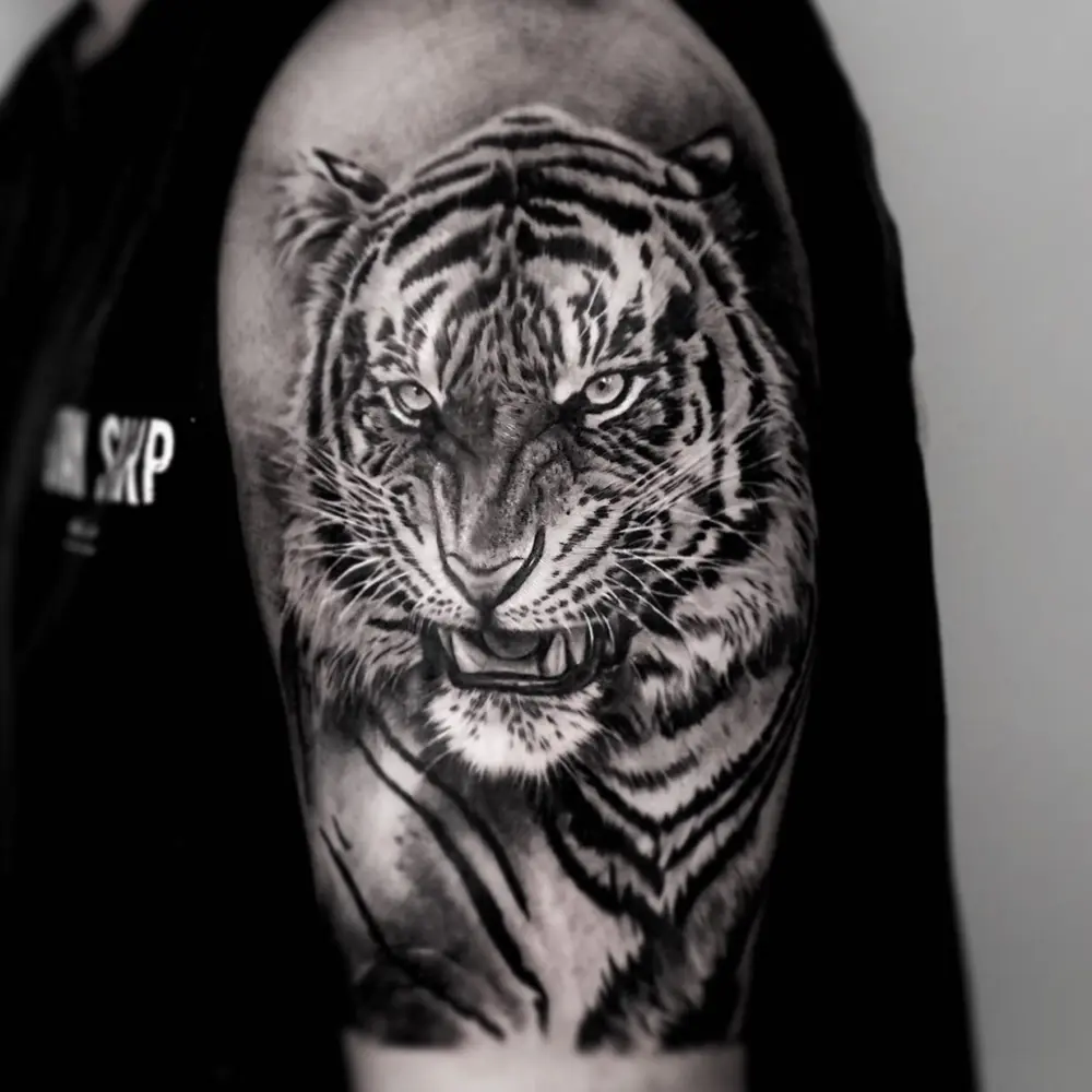 Tiger