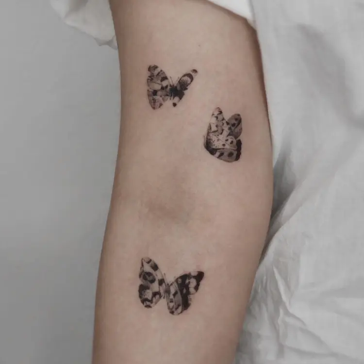 Animal, Nature