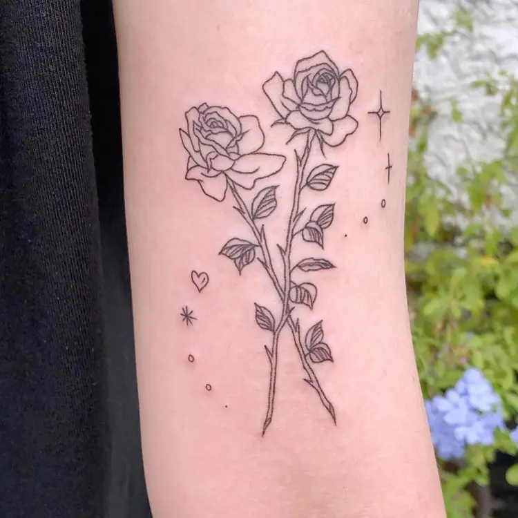 Flower, Rose