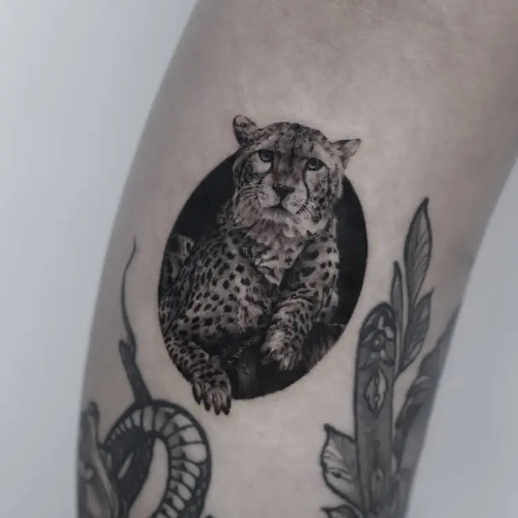 Animal