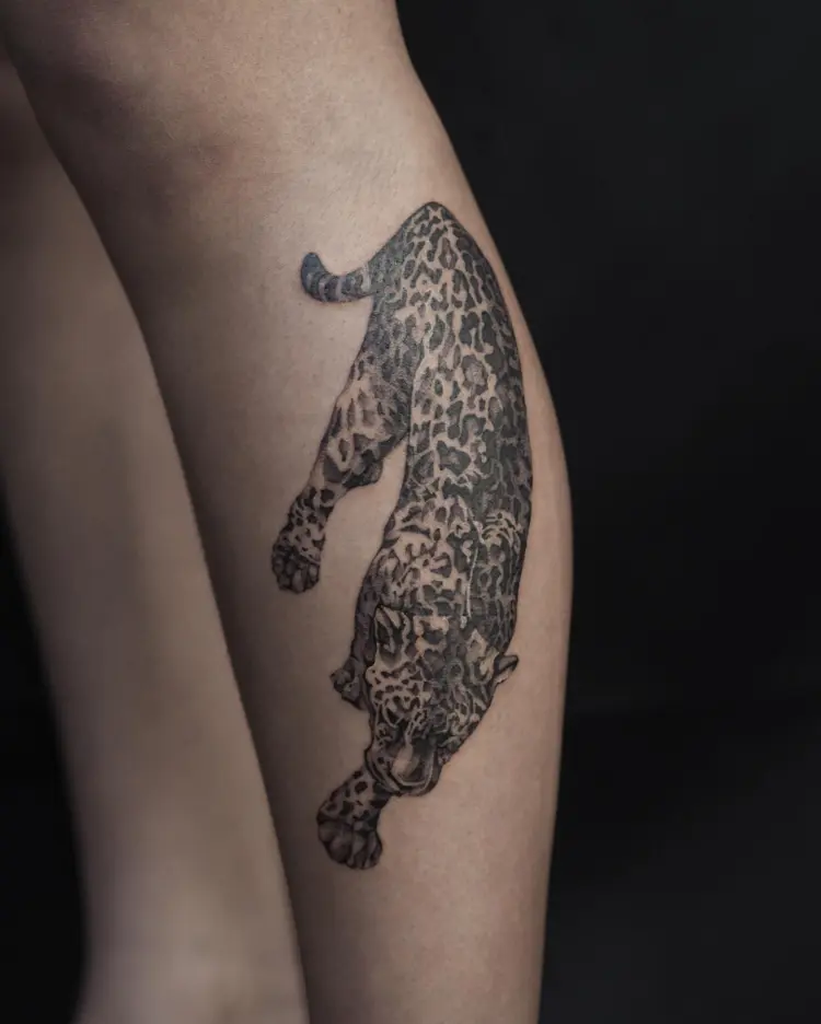 Tiger, Animal