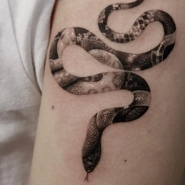 40.tatt
