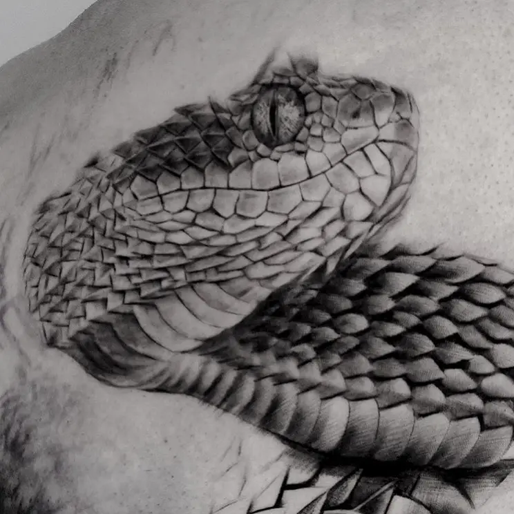 Snake