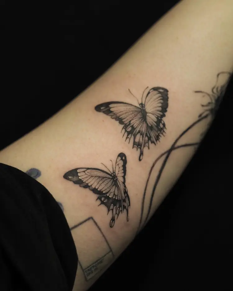 Animal, Nature