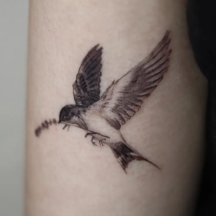40.tatt