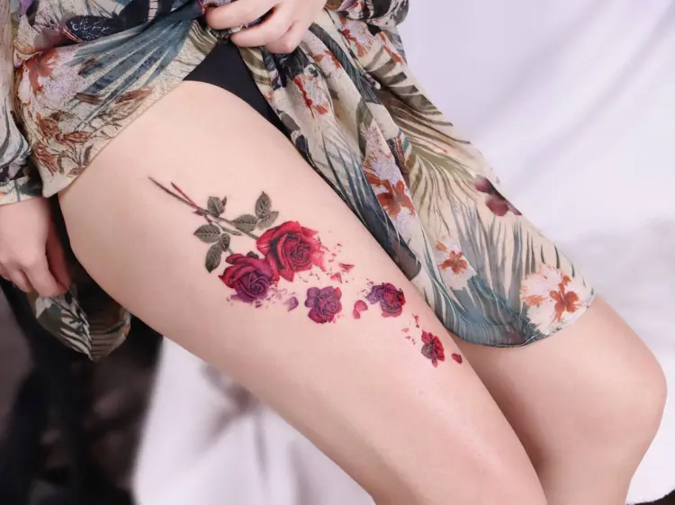 Nature, Flower, Rose