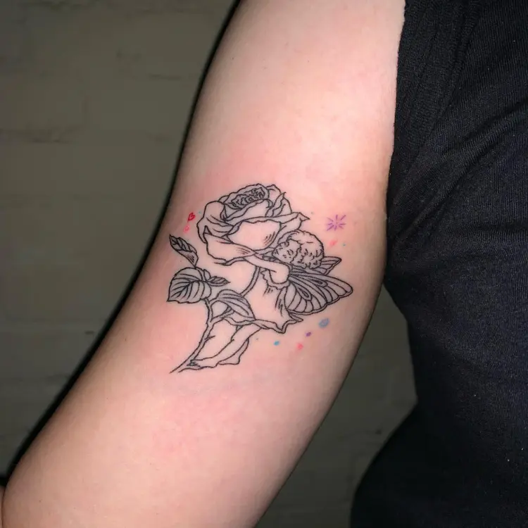 Flower, Rose