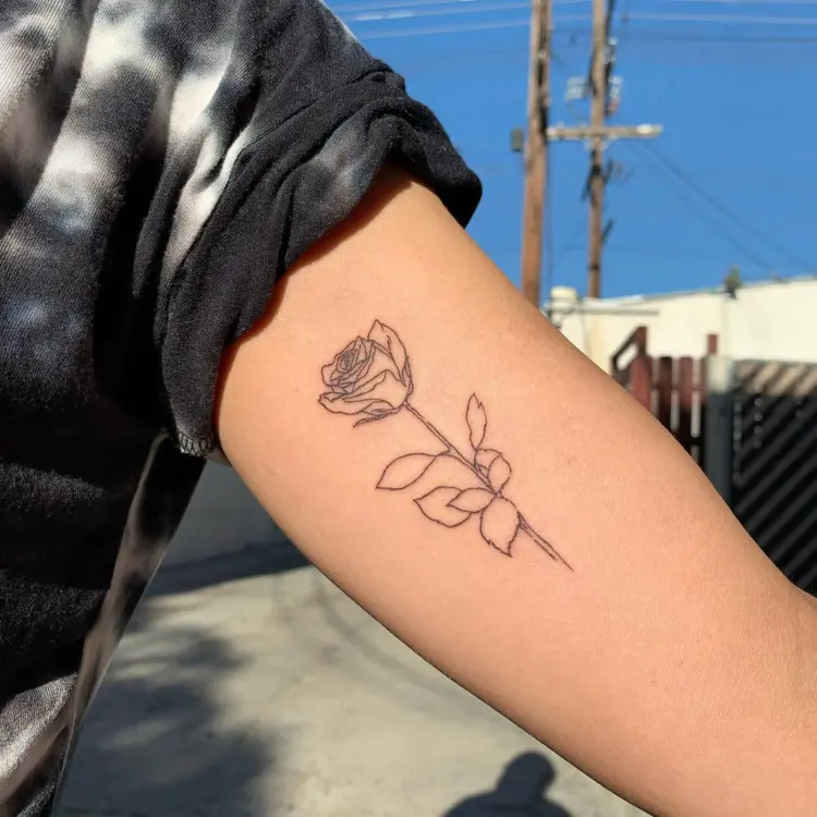 Rose, Flower