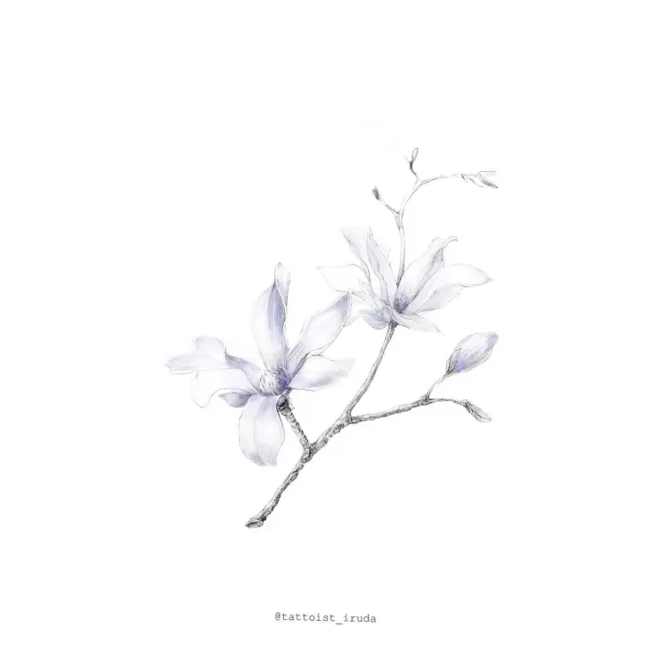 Flower, Nature
