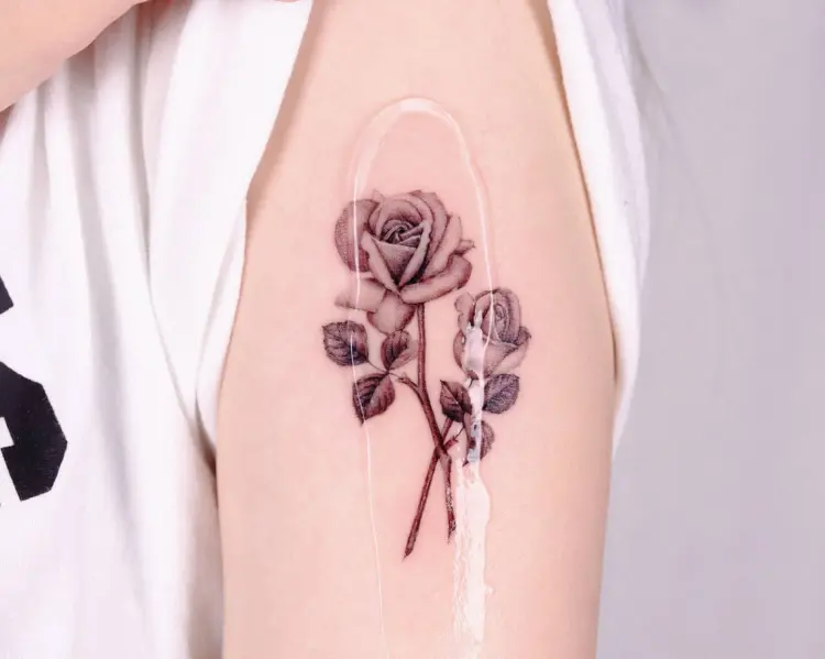 Flower, Rose